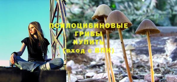 гидропоника Магас